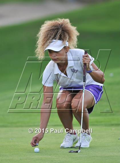 Thumbnail 2 in Horizon @ Desert Mountain photogallery.