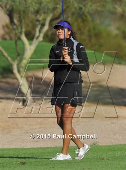 Thumbnail 1 in Horizon @ Desert Mountain photogallery.
