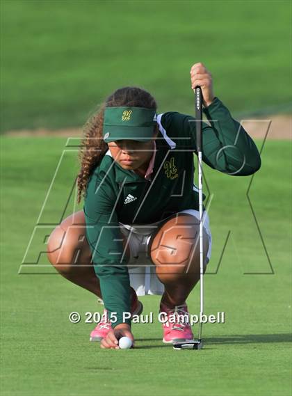 Thumbnail 3 in Horizon @ Desert Mountain photogallery.