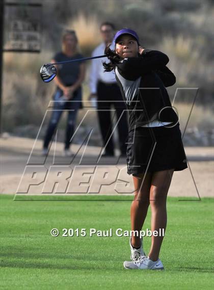 Thumbnail 1 in Horizon @ Desert Mountain photogallery.