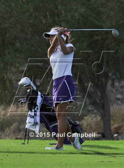 Thumbnail 2 in Horizon @ Desert Mountain photogallery.