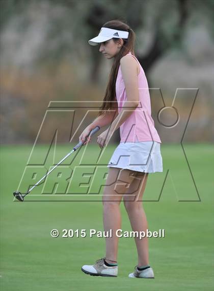 Thumbnail 1 in Horizon @ Desert Mountain photogallery.