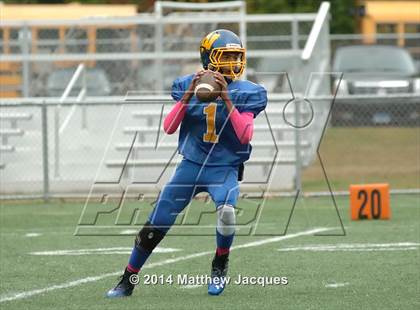 Thumbnail 2 in Capital Prep @ Wilcox RVT photogallery.
