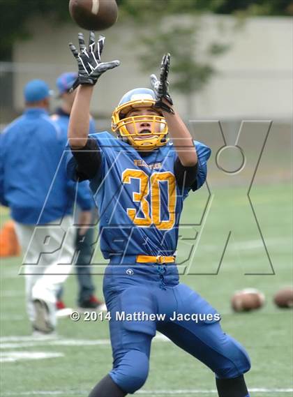 Thumbnail 3 in Capital Prep @ Wilcox RVT photogallery.