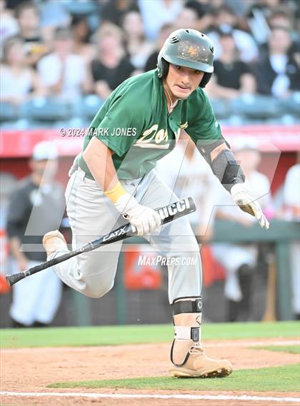 Thumbnail 1 in Saguaro vs. Canyon del Oro (AIA 4A Final) photogallery.