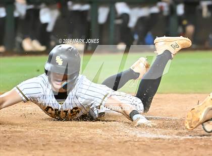 Thumbnail 1 in Saguaro vs. Canyon del Oro (AIA 4A Final) photogallery.