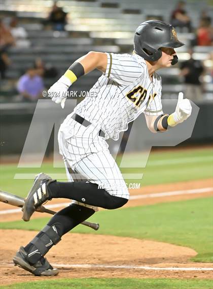 Thumbnail 1 in Saguaro vs. Canyon del Oro (AIA 4A Final) photogallery.