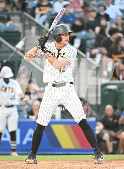 Thumbnail 1 in Saguaro vs. Canyon del Oro (AIA 4A Final) photogallery.