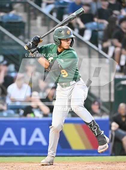 Thumbnail 3 in Saguaro vs. Canyon del Oro (AIA 4A Final) photogallery.