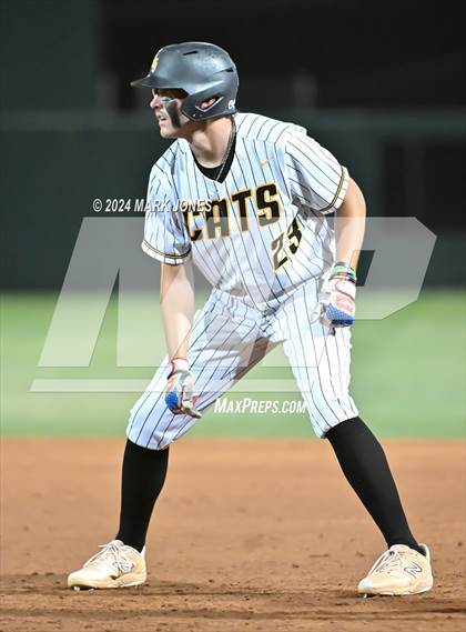 Thumbnail 1 in Saguaro vs. Canyon del Oro (AIA 4A Final) photogallery.