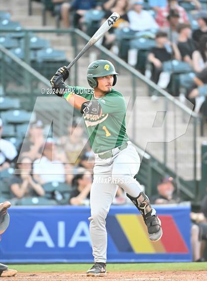 Thumbnail 1 in Saguaro vs. Canyon del Oro (AIA 4A Final) photogallery.