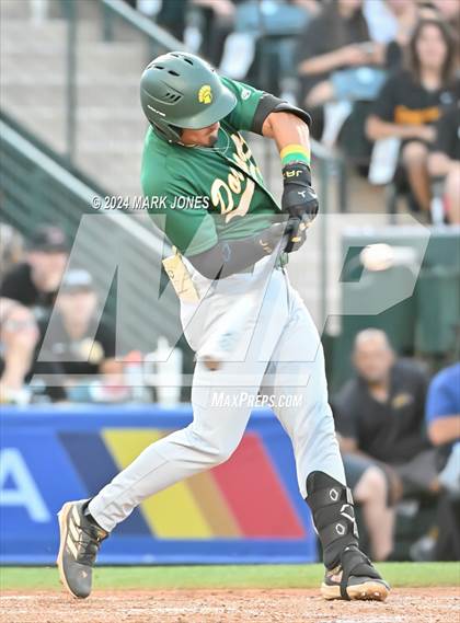 Thumbnail 3 in Saguaro vs. Canyon del Oro (AIA 4A Final) photogallery.