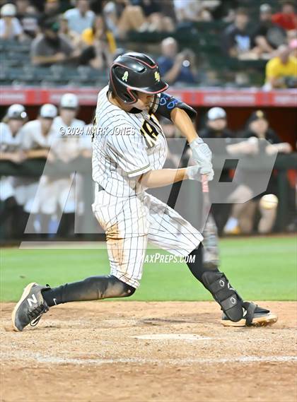Thumbnail 3 in Saguaro vs. Canyon del Oro (AIA 4A Final) photogallery.