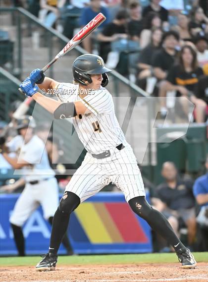 Thumbnail 1 in Saguaro vs. Canyon del Oro (AIA 4A Final) photogallery.