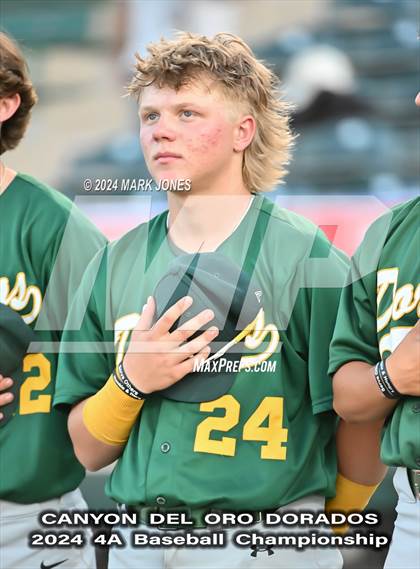 Thumbnail 1 in Saguaro vs. Canyon del Oro (AIA 4A Final) photogallery.