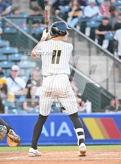 Thumbnail 3 in Saguaro vs. Canyon del Oro (AIA 4A Final) photogallery.
