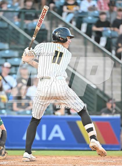 Thumbnail 1 in Saguaro vs. Canyon del Oro (AIA 4A Final) photogallery.