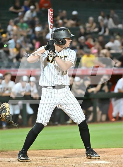 Thumbnail 1 in Saguaro vs. Canyon del Oro (AIA 4A Final) photogallery.
