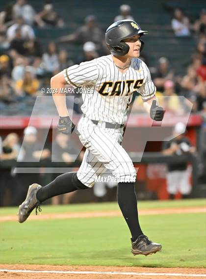 Thumbnail 1 in Saguaro vs. Canyon del Oro (AIA 4A Final) photogallery.