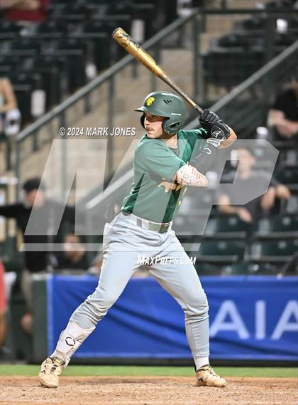 Thumbnail 3 in Saguaro vs. Canyon del Oro (AIA 4A Final) photogallery.