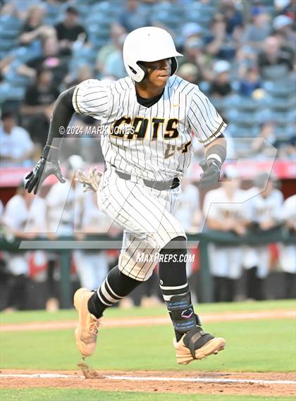 Thumbnail 1 in Saguaro vs. Canyon del Oro (AIA 4A Final) photogallery.