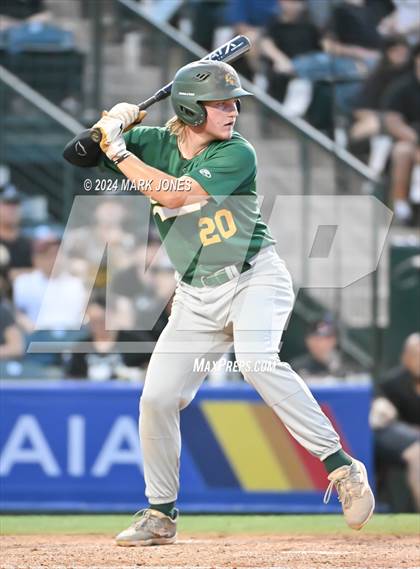 Thumbnail 2 in Saguaro vs. Canyon del Oro (AIA 4A Final) photogallery.