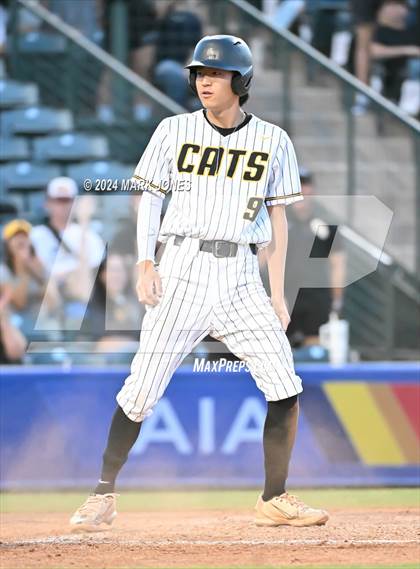 Thumbnail 1 in Saguaro vs. Canyon del Oro (AIA 4A Final) photogallery.