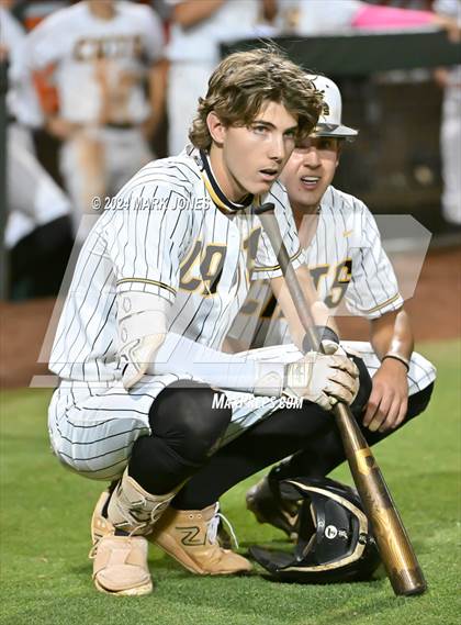 Thumbnail 1 in Saguaro vs. Canyon del Oro (AIA 4A Final) photogallery.
