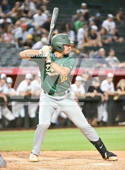 Thumbnail 2 in Saguaro vs. Canyon del Oro (AIA 4A Final) photogallery.