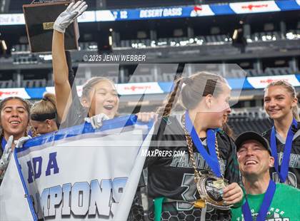 Thumbnail 3 in Desert Oasis vs. Palo Verde (NIAA 5A Final) photogallery.