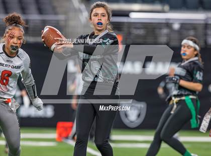 Thumbnail 1 in Desert Oasis vs. Palo Verde (NIAA 5A Final) photogallery.