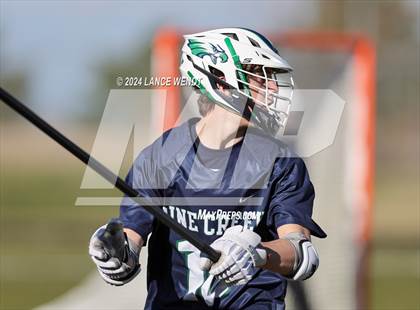 Thumbnail 2 in Pine Creek @ Arvada West photogallery.