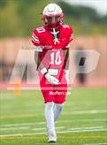 Photo from the gallery "Lamar @ Bellaire"