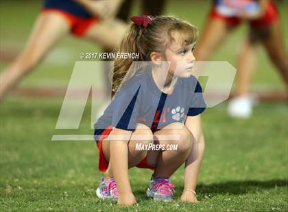 Thumbnail 3 in Pinnacle @ Centennial photogallery.