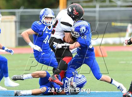 Thumbnail 3 in Warde @ Darien  photogallery.