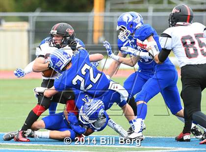 Thumbnail 1 in Warde @ Darien  photogallery.