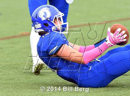 Thumbnail 1 in Warde @ Darien  photogallery.