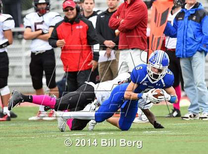 Thumbnail 2 in Warde @ Darien  photogallery.