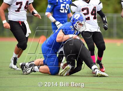Thumbnail 2 in Warde @ Darien  photogallery.