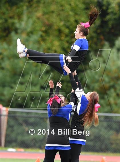 Thumbnail 2 in Warde @ Darien  photogallery.