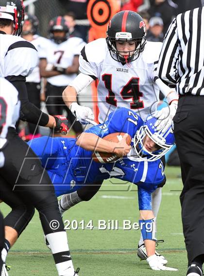 Thumbnail 3 in Warde @ Darien  photogallery.