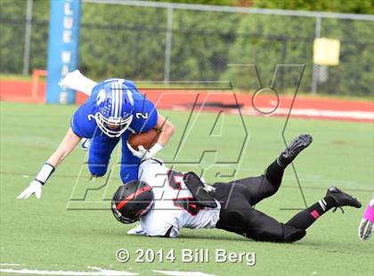 Thumbnail 2 in Warde @ Darien  photogallery.