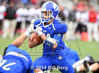 Thumbnail 2 in Warde @ Darien  photogallery.