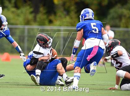 Thumbnail 1 in Warde @ Darien  photogallery.
