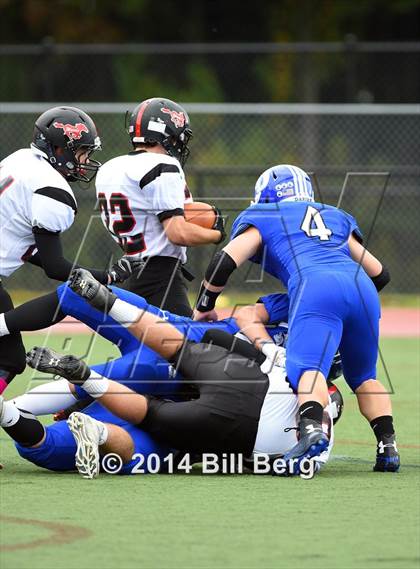 Thumbnail 3 in Warde @ Darien  photogallery.
