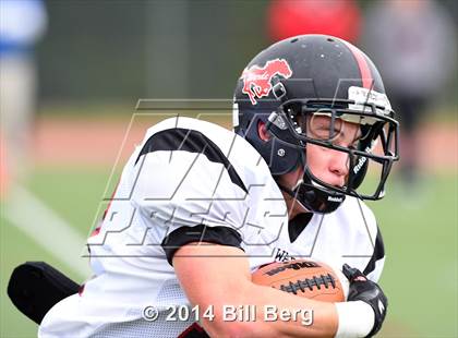 Thumbnail 3 in Warde @ Darien  photogallery.
