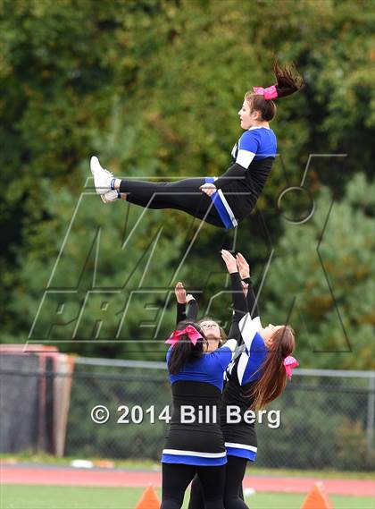 Thumbnail 1 in Warde @ Darien  photogallery.