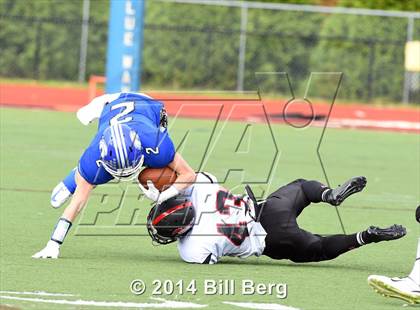 Thumbnail 3 in Warde @ Darien  photogallery.
