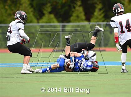 Thumbnail 3 in Warde @ Darien  photogallery.