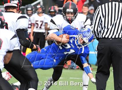 Thumbnail 2 in Warde @ Darien  photogallery.